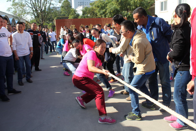 天博电子综合app
